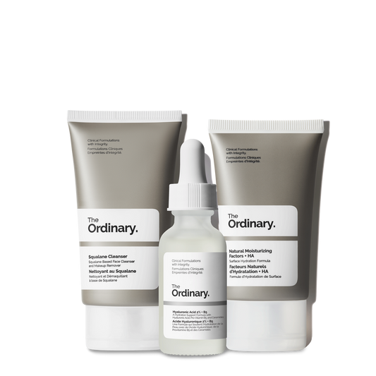 The Ordinary The Daily set