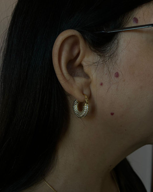 Shiny Hoops